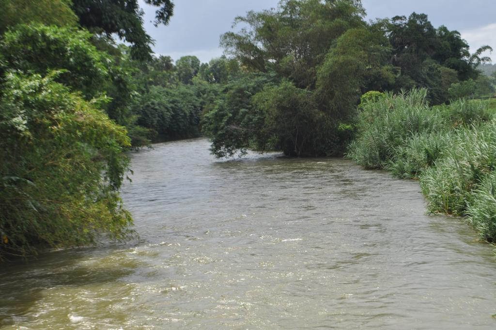 River Edge Bungalow Matale Zewnętrze zdjęcie